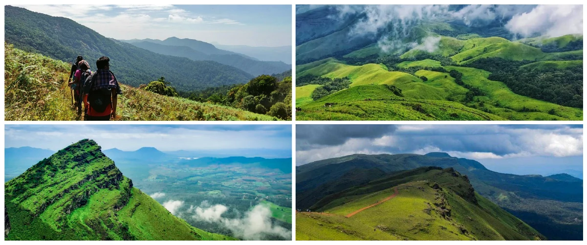 Image of mountains with greenery in Chikmagalur for trekking lovers